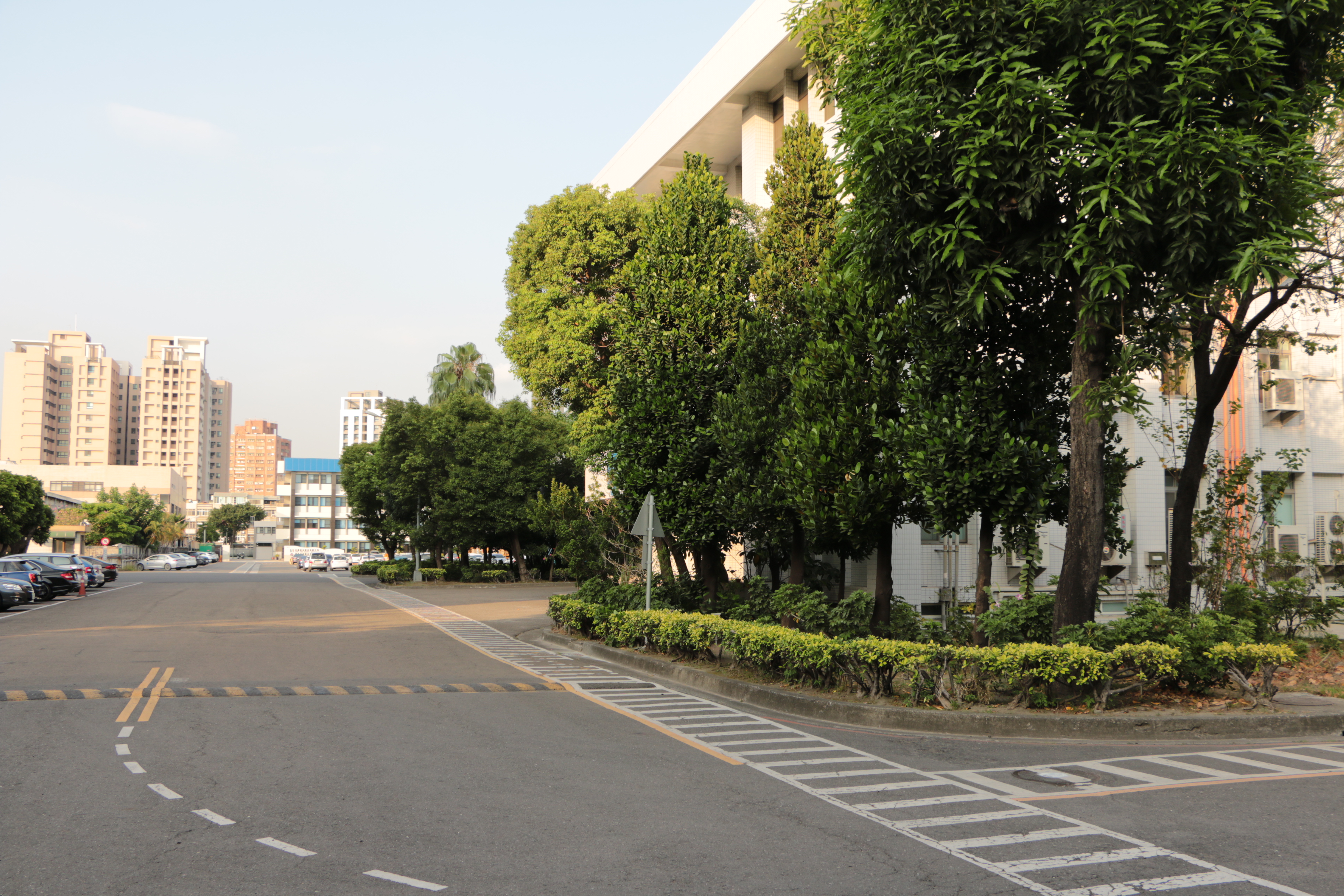 地球に緑の希望を植えます